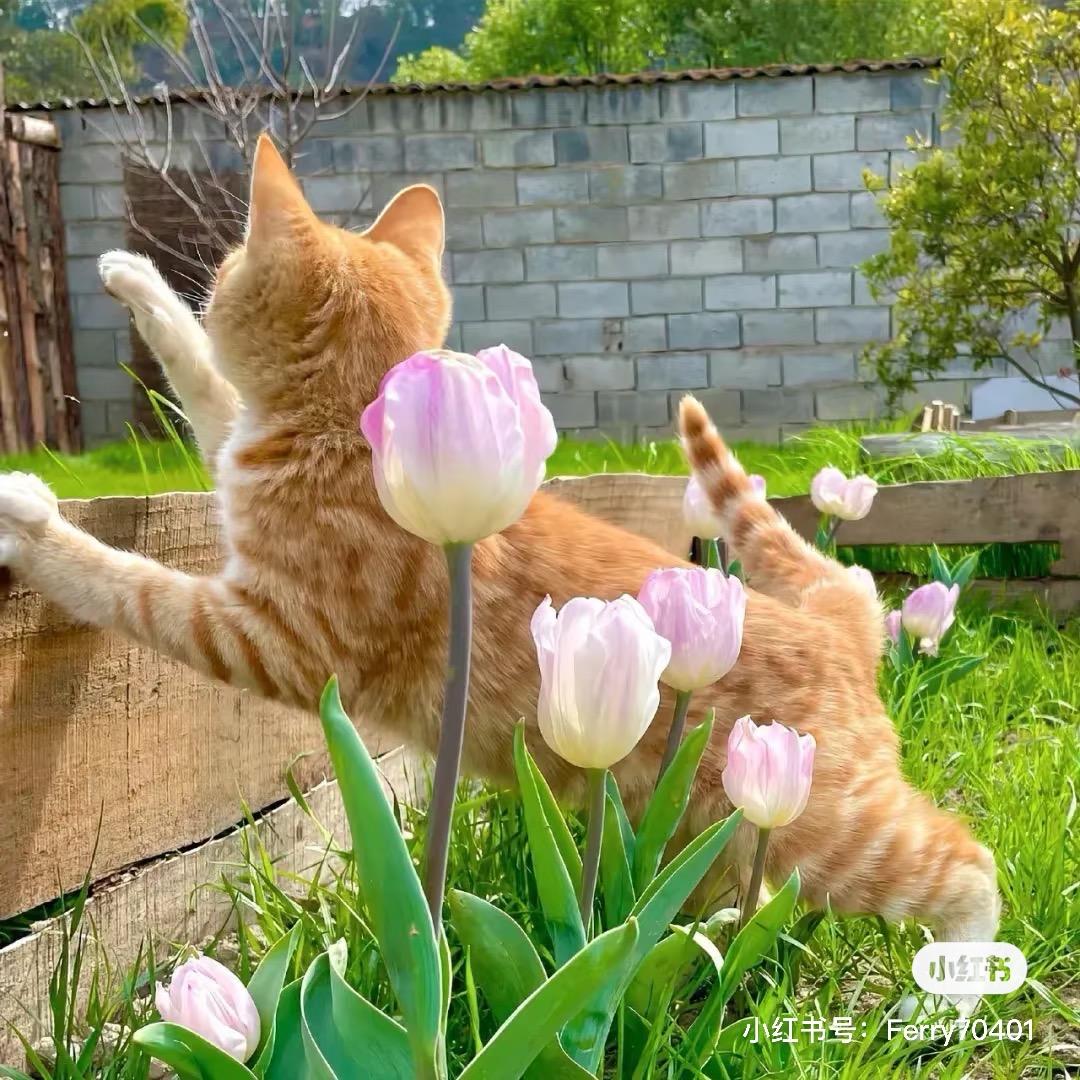 （＾Ｏ＾☆♪