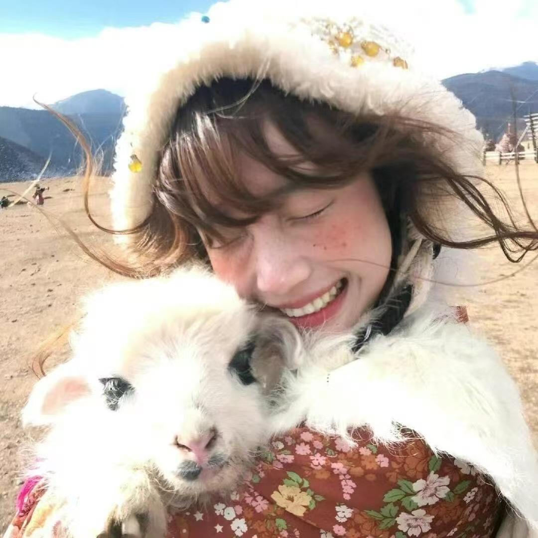 海棠花开时