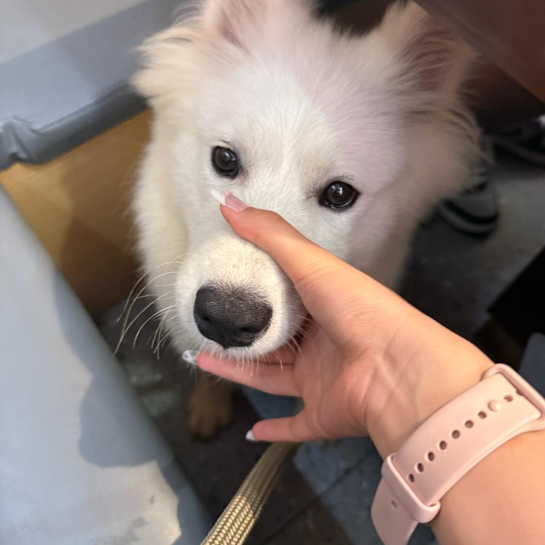 只能说再见