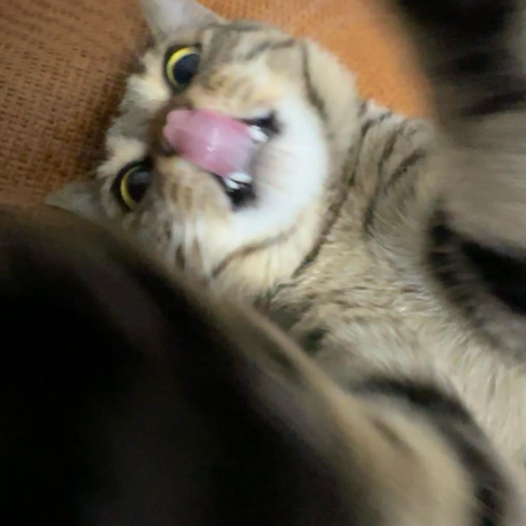 久