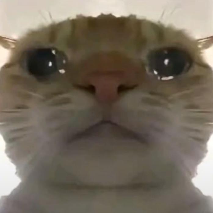 梦想鱼(三角洲行动)