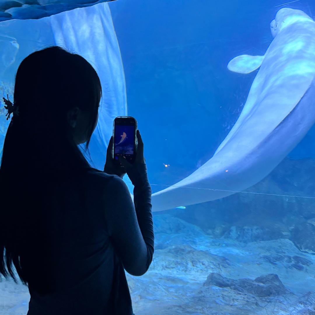 ……（六个点）