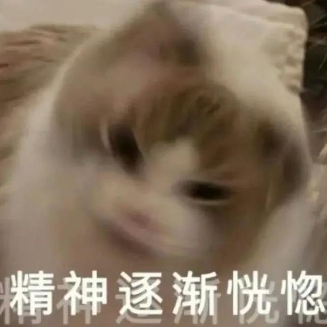 皎洁