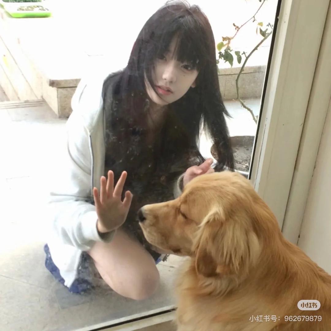 陈颂今
