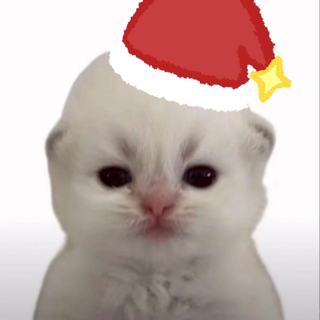 圈圈米（28公会赛求神豪版）