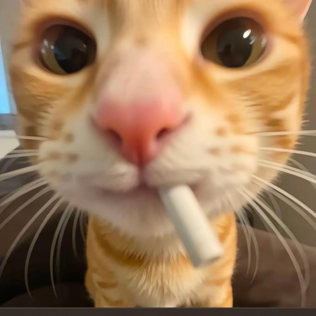 小小怪下士-