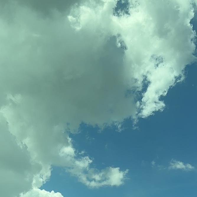 纵横四海