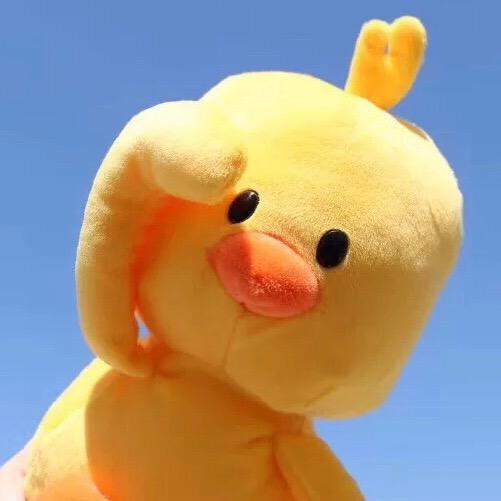 喵了个喵咪miu