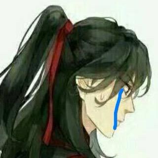 汪叽上羡了
