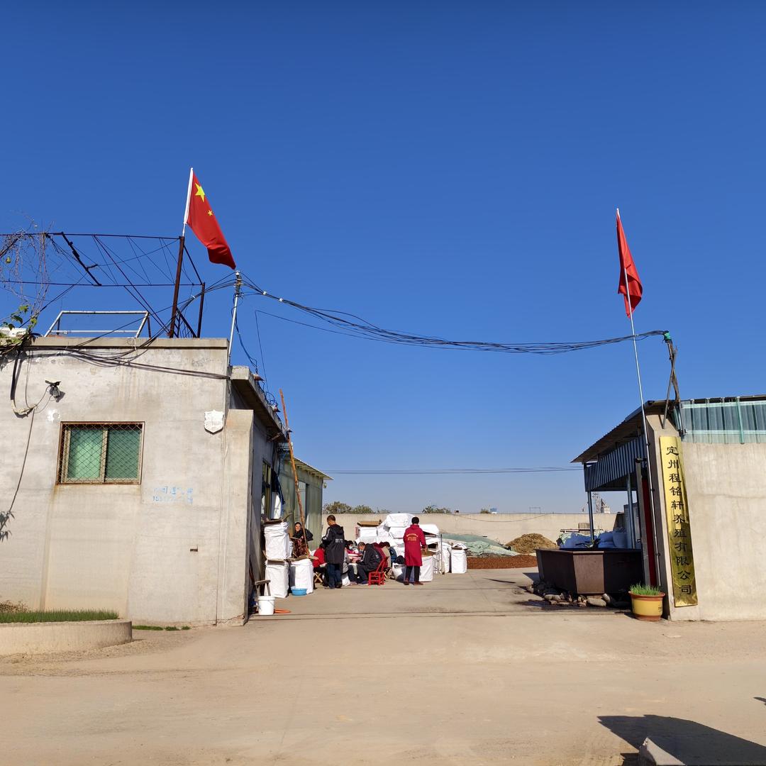 C.土元养殖基地