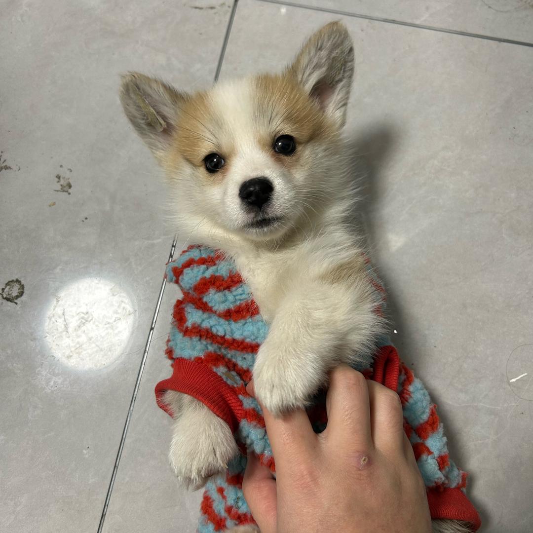 当他需要一个鼓励