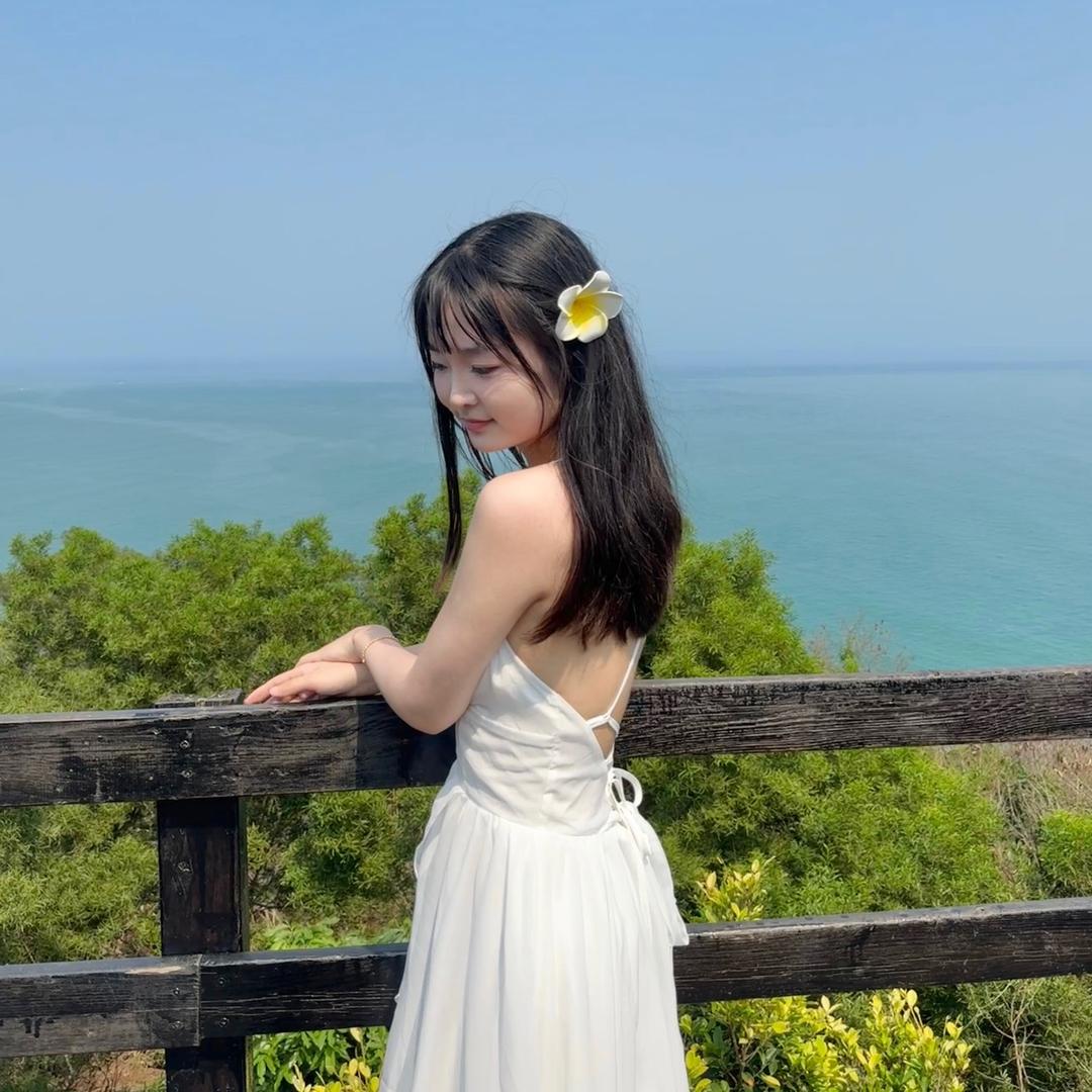 锦鲤鲤