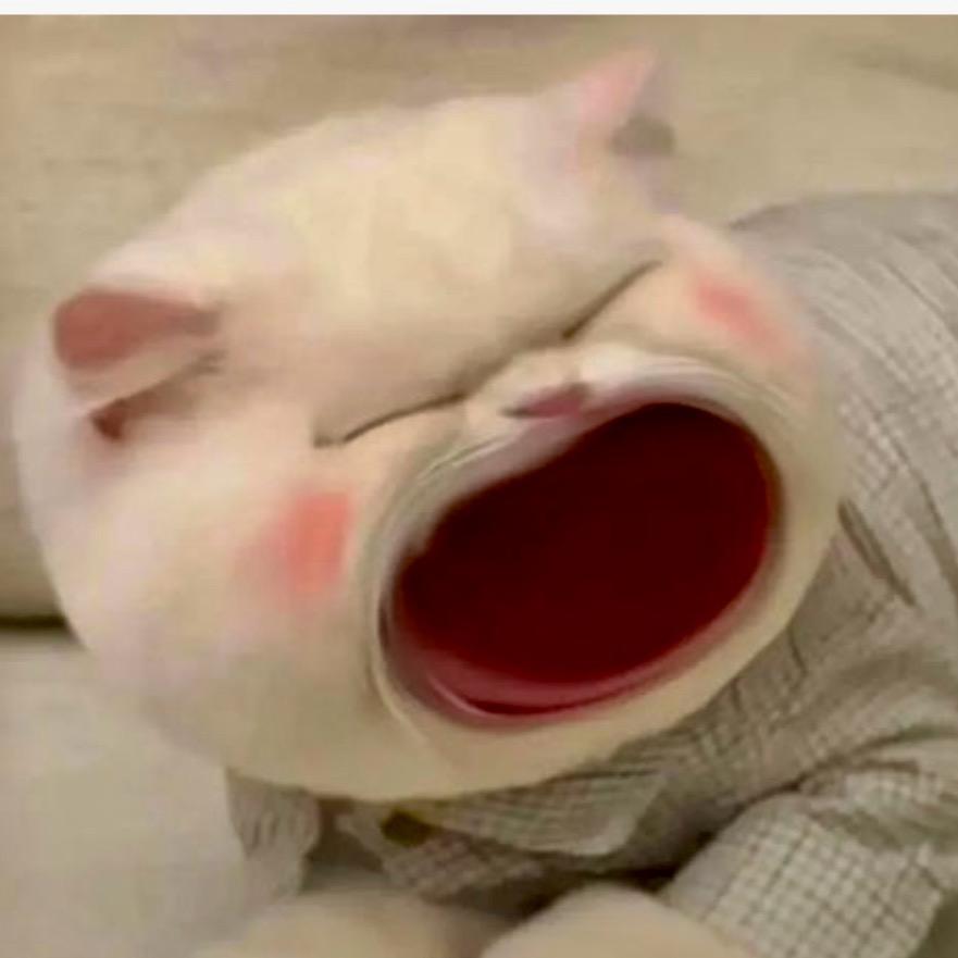 沉香秘语