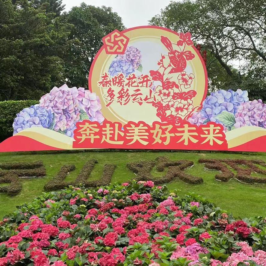 红姐