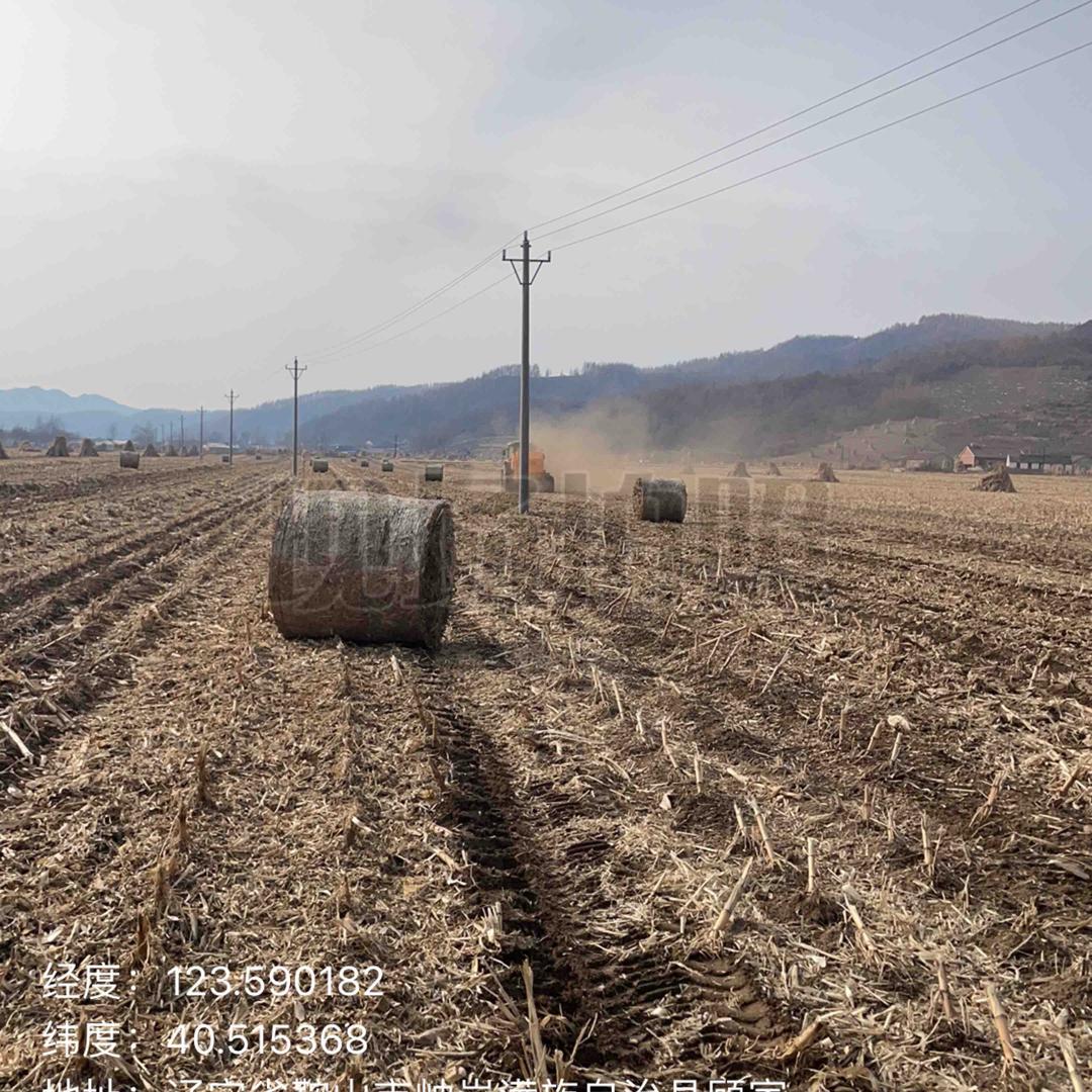 小东草业