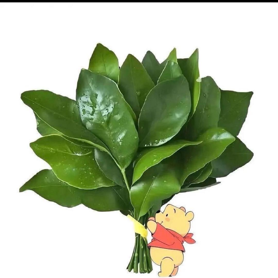 秋天.