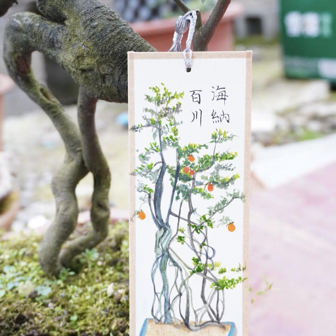 敏子慧金弹子
