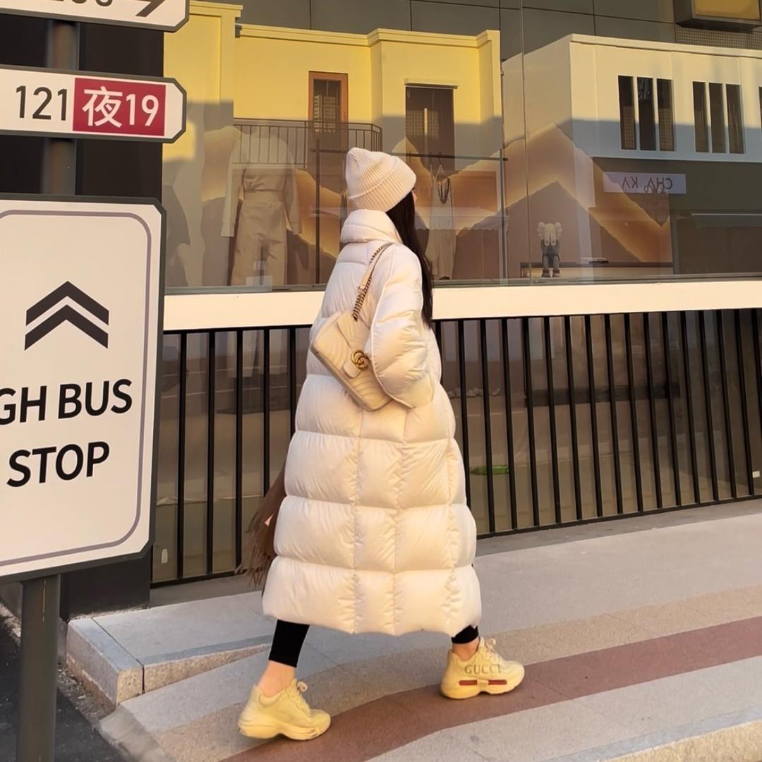 DAE_大鹅家