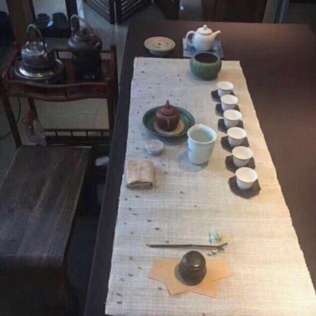 🌱苗苗
