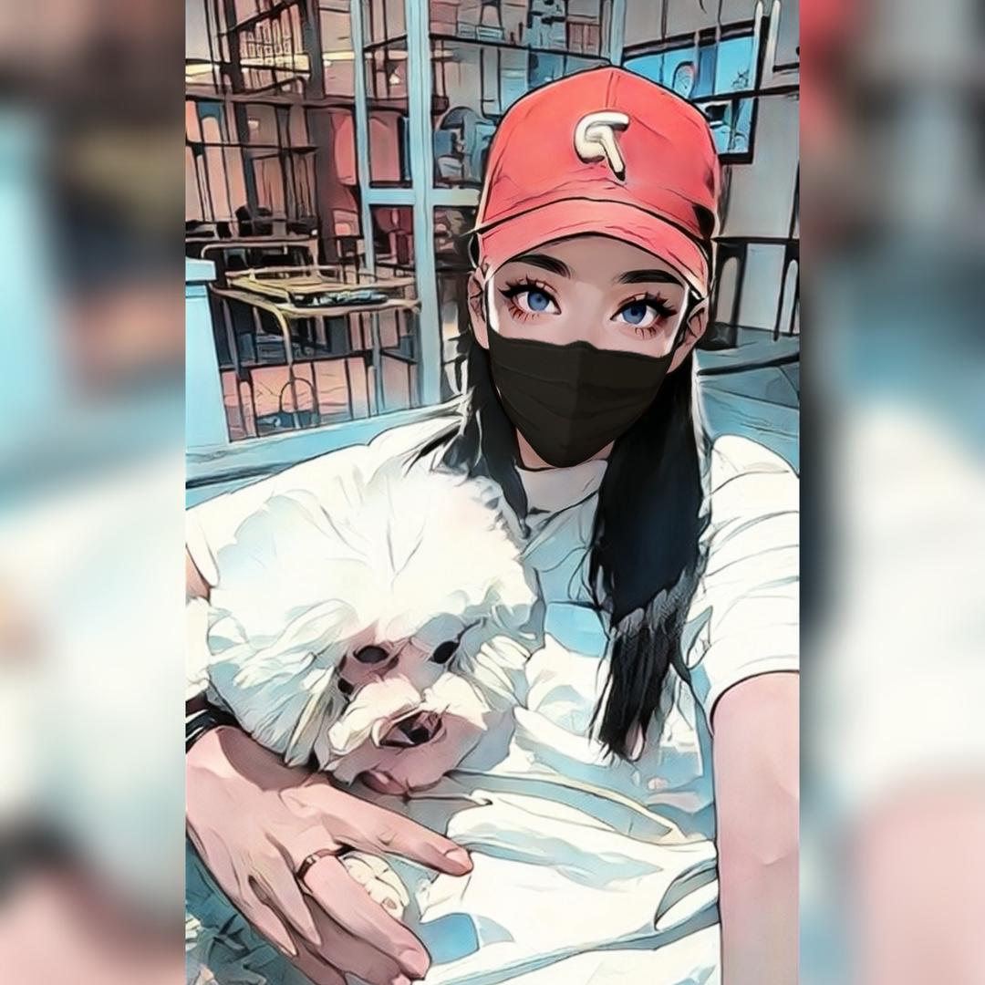瑶瑶🦊