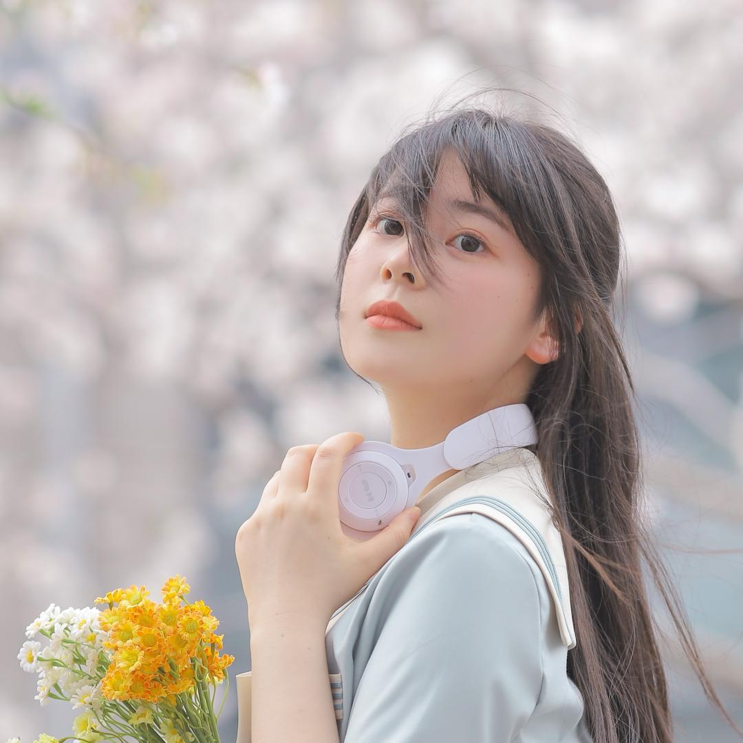 花花不菜