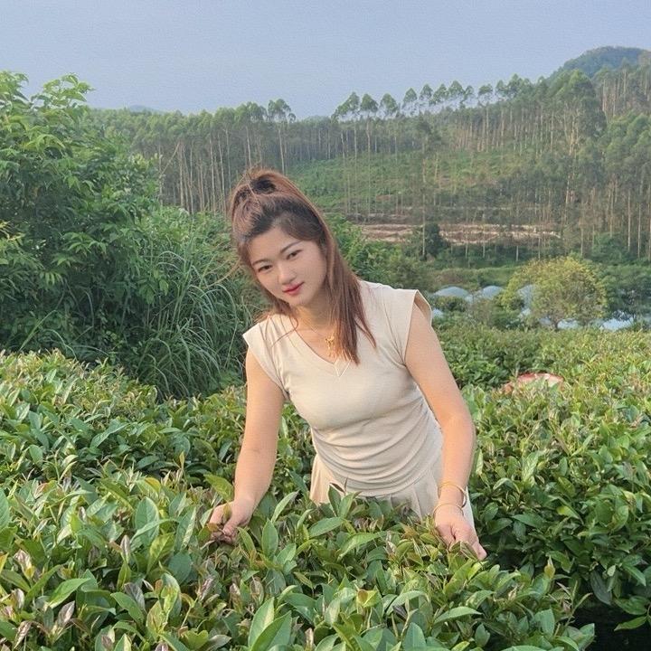 珍惜未来
