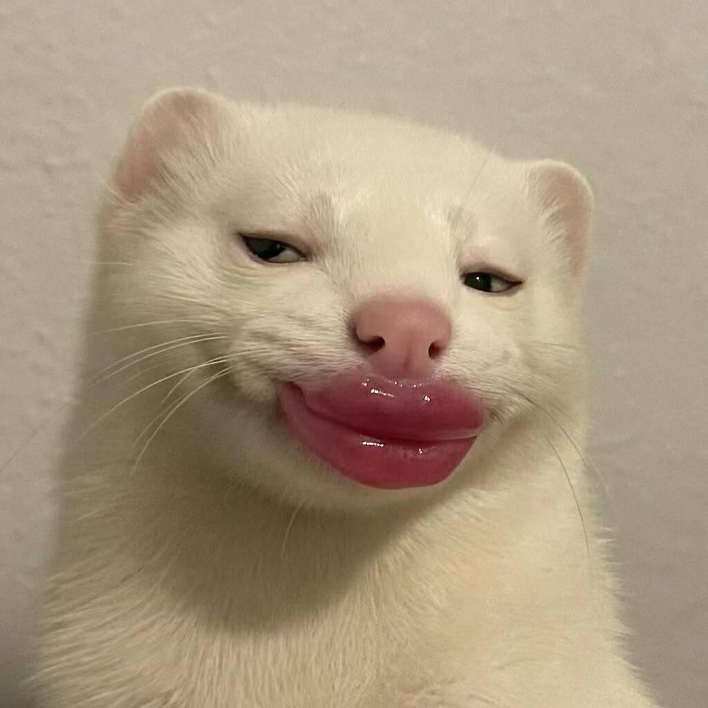 🫧