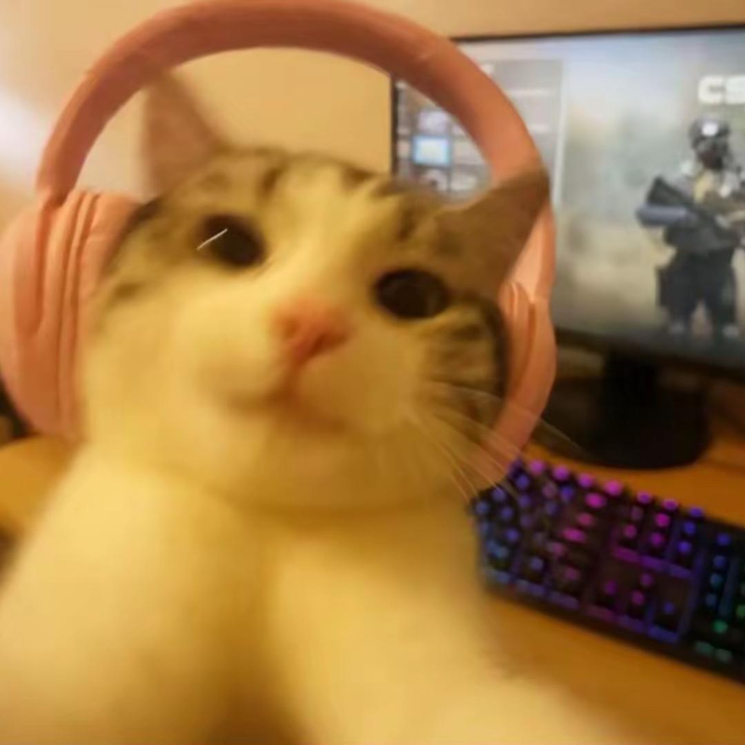 “毛吧”（出心版）