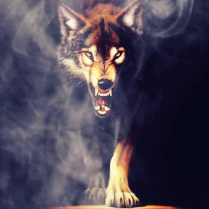 ও🕊ꦿꦼ驰💞狼꧔ꦿ࿐้