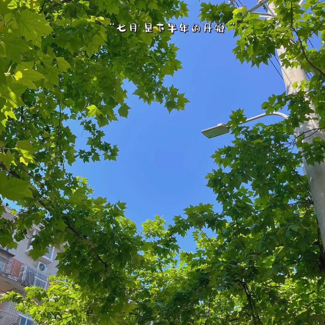 麦子