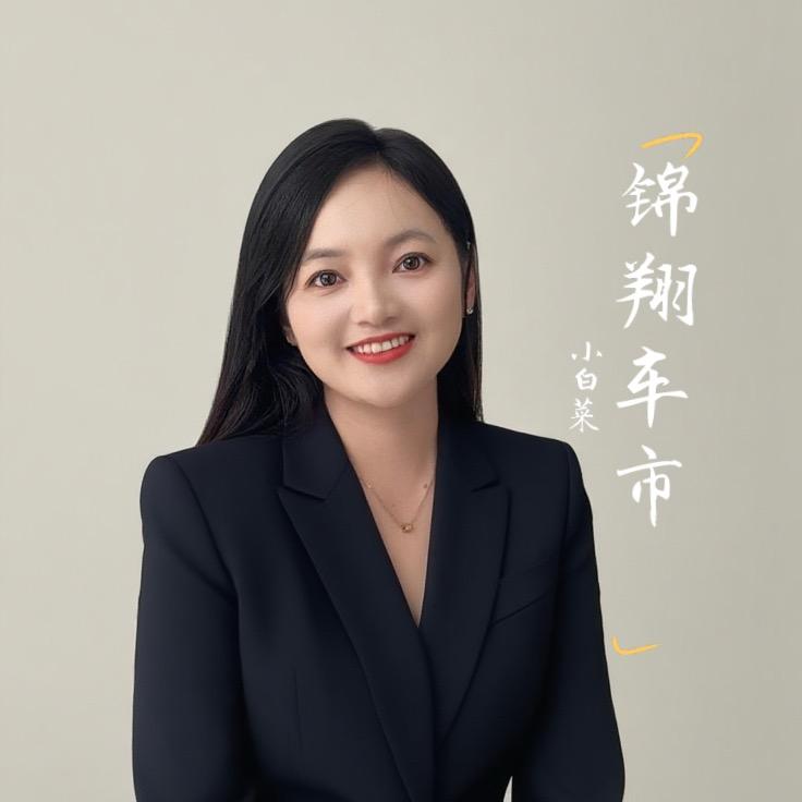 景东锦翔车市-小白菜