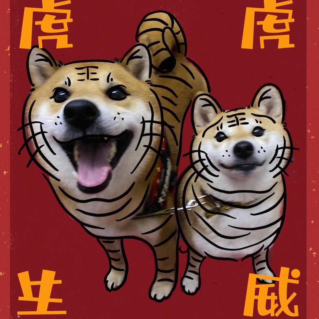 柴圆滚滚
