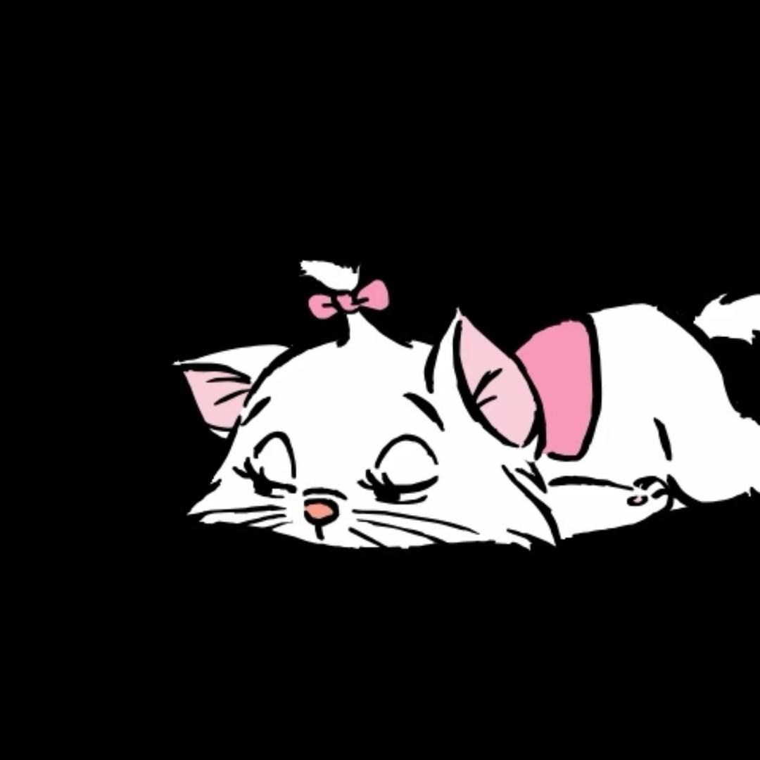 小猫123