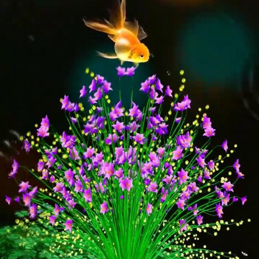 不拘小节