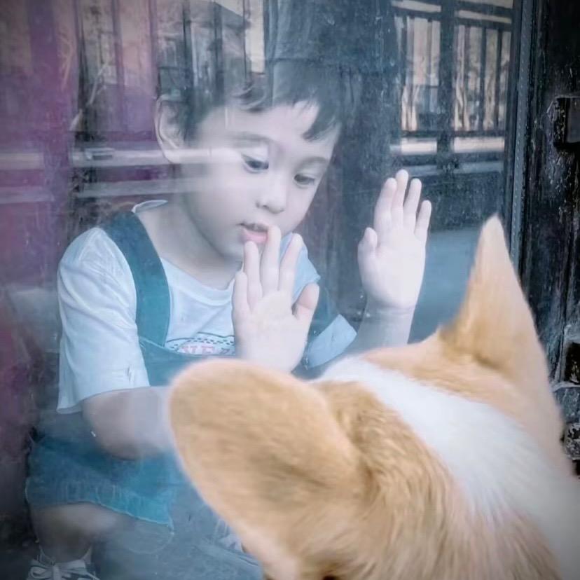 薯条小鲨鱼
