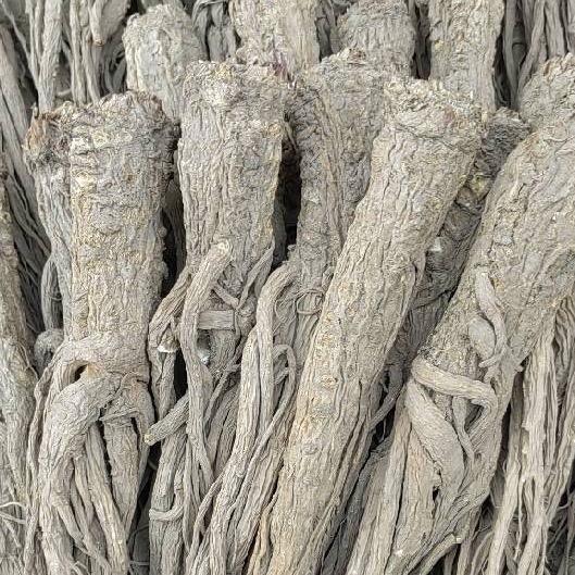 家有当归黄芪党参