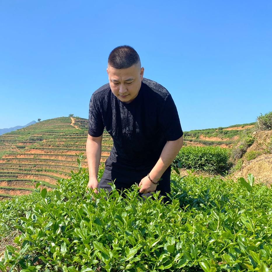 景轩茶叶林艺东