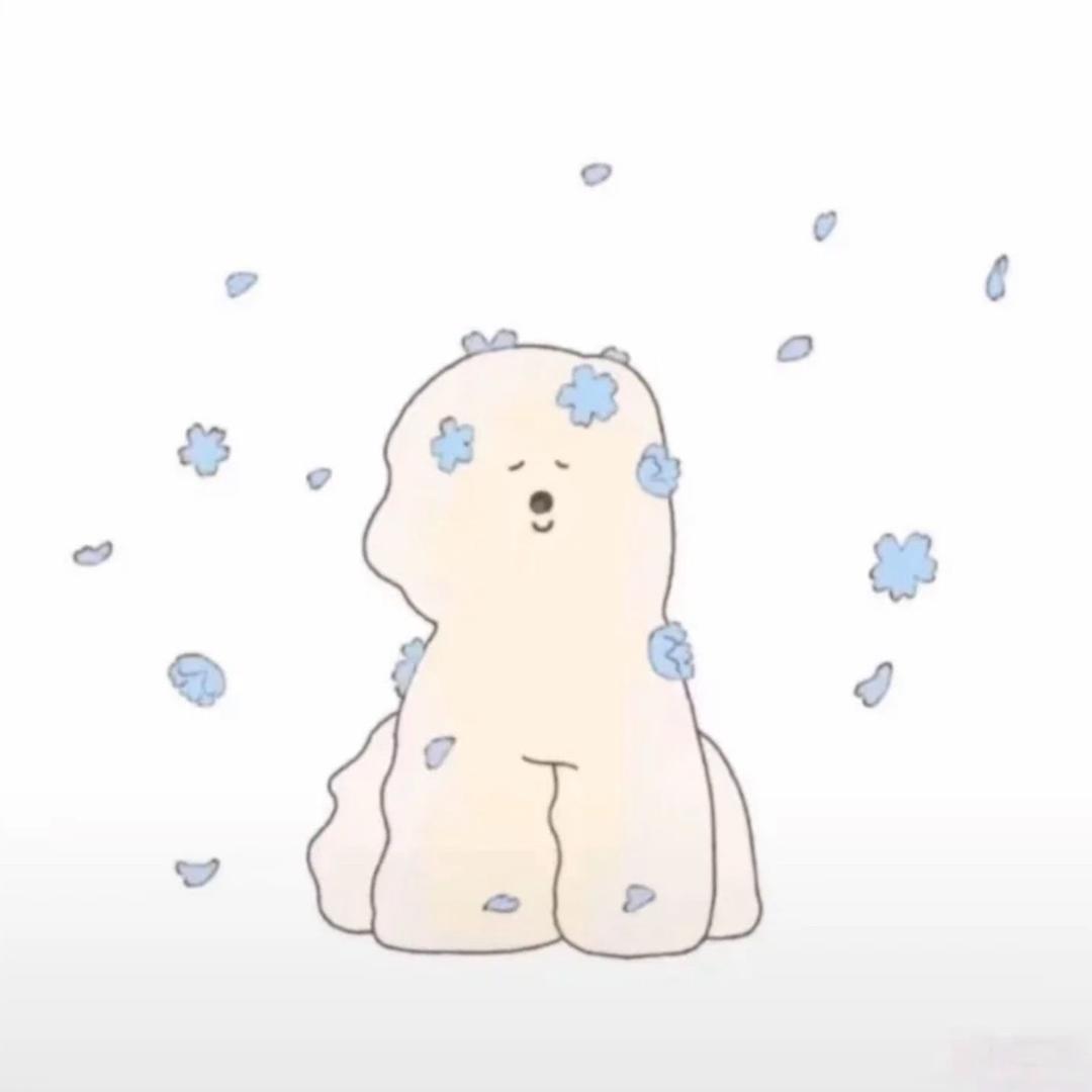 小小鱼