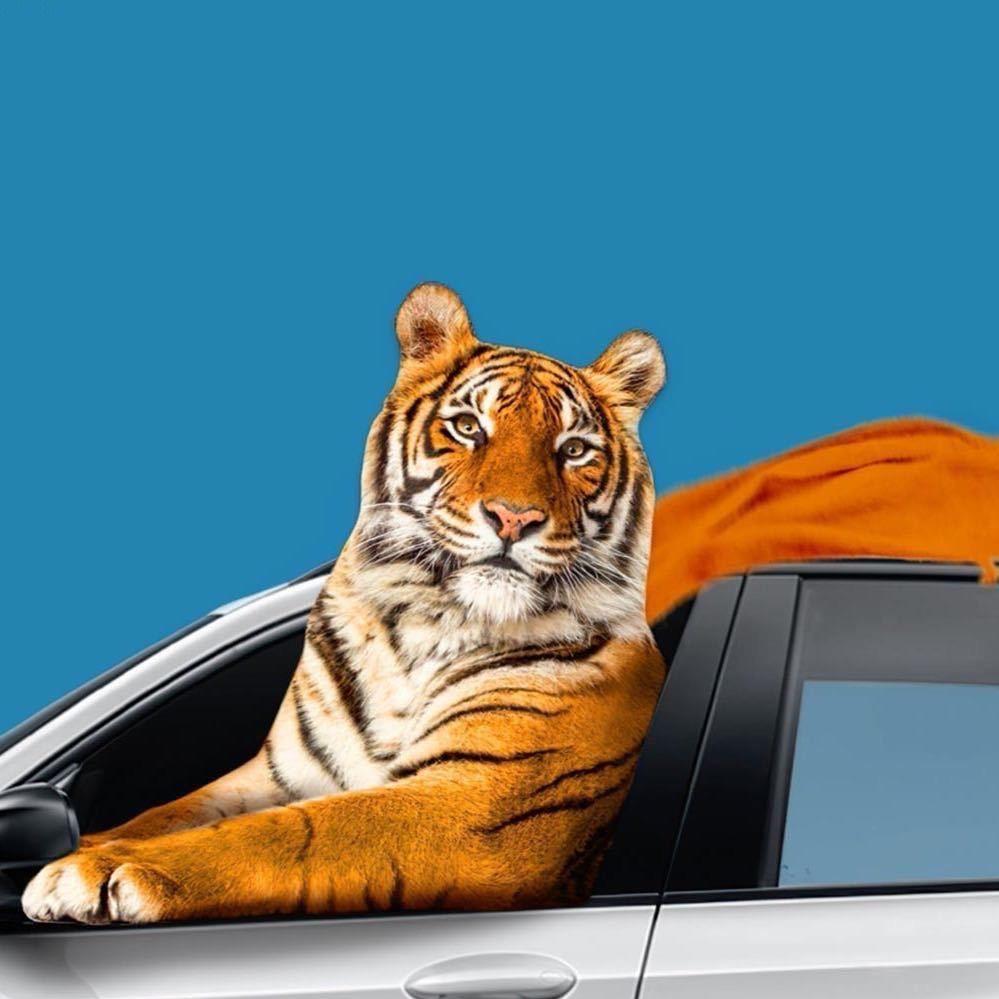 退堂鼓一级表演艺术家