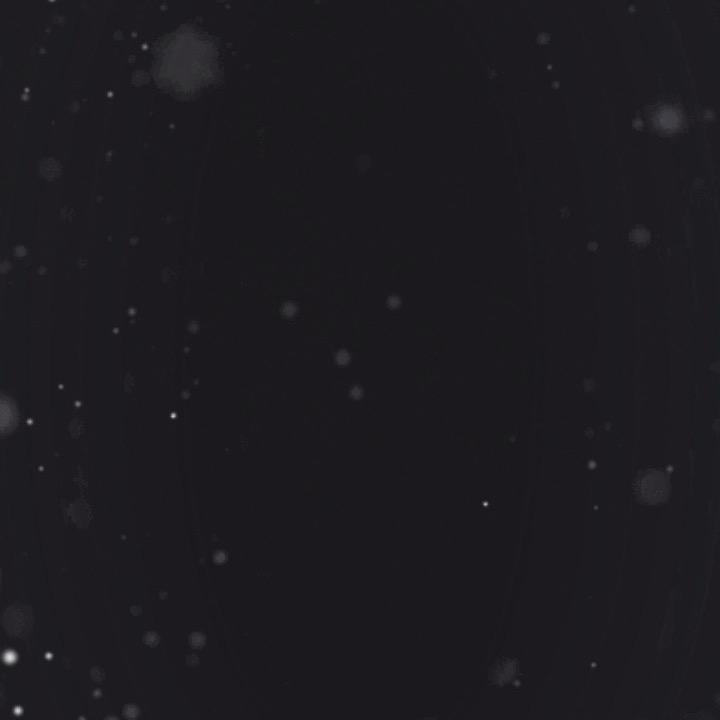 用户5684855596