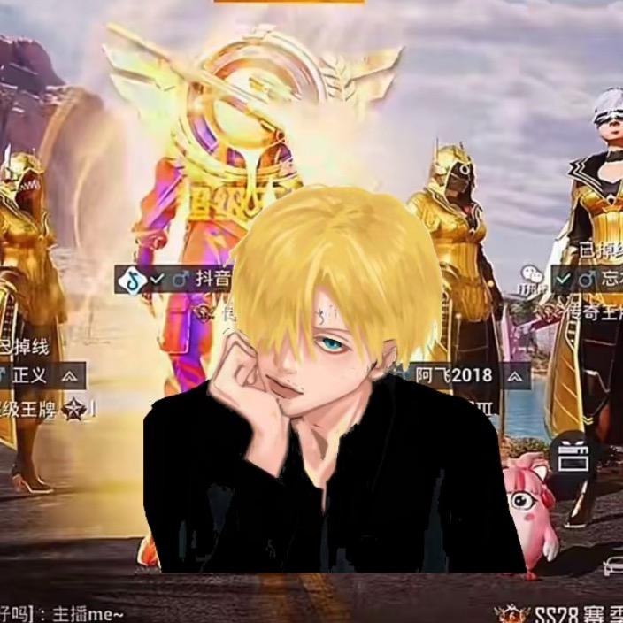 韩阿冠🌟和平精英(地铁小店)