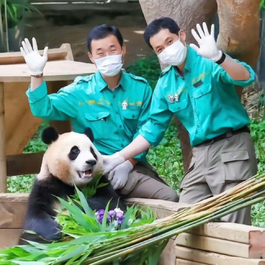 小鹏萌宠日记