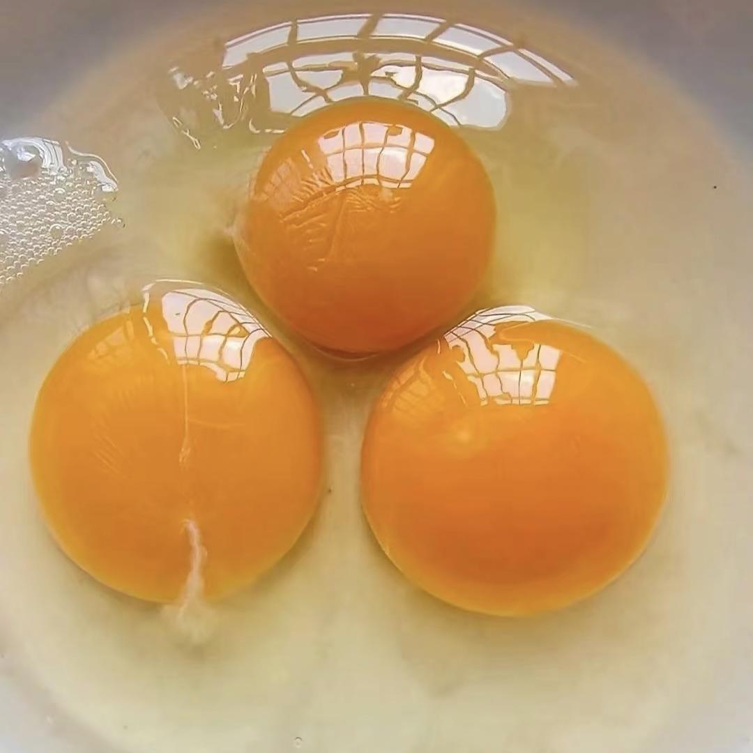 金州全落满绿色鸡蛋绿色鸡蛋