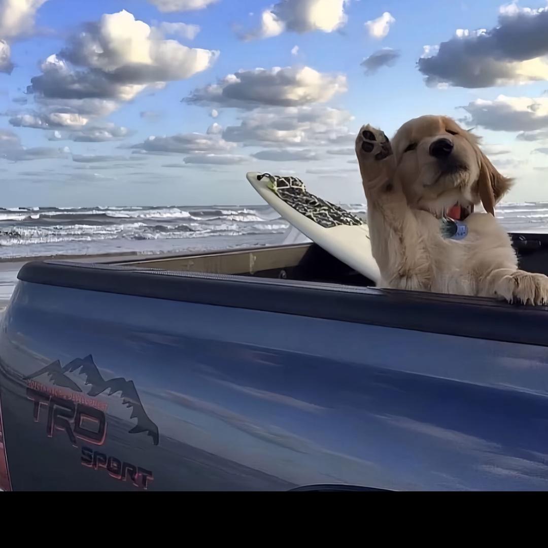 家b（三角洲行动）