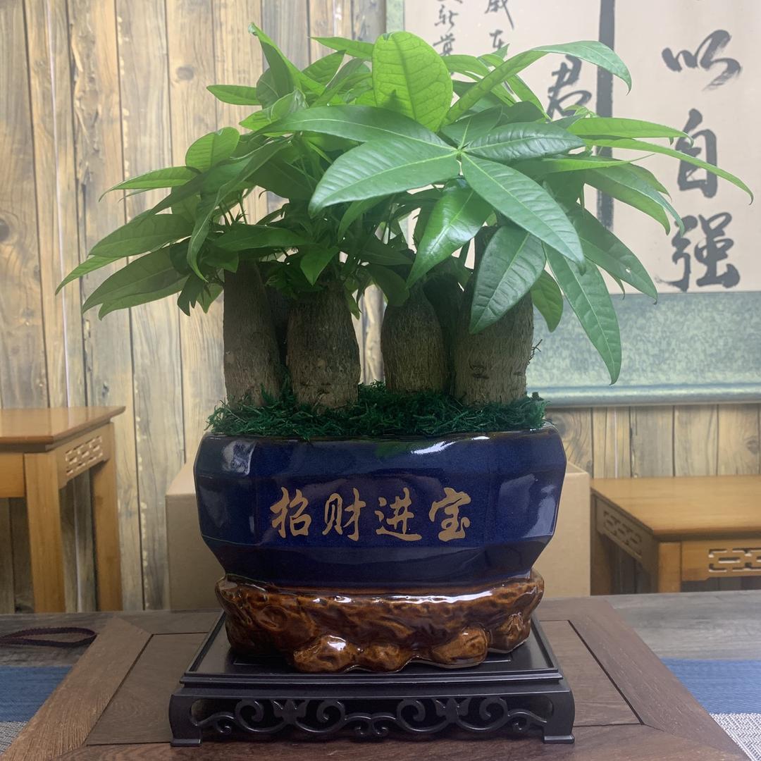 馨予花卉