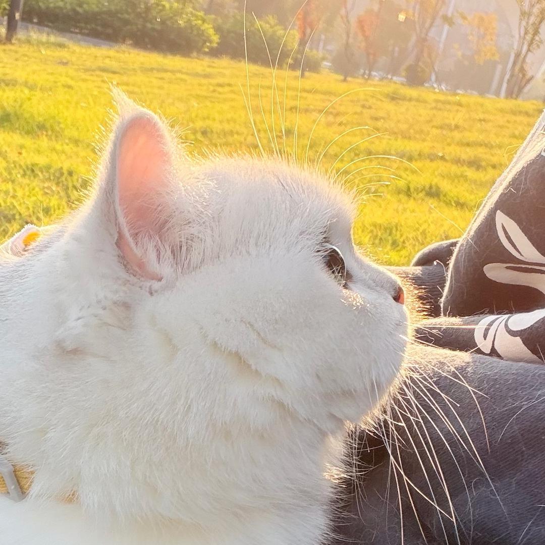 易只小蜜蜂呀🐝