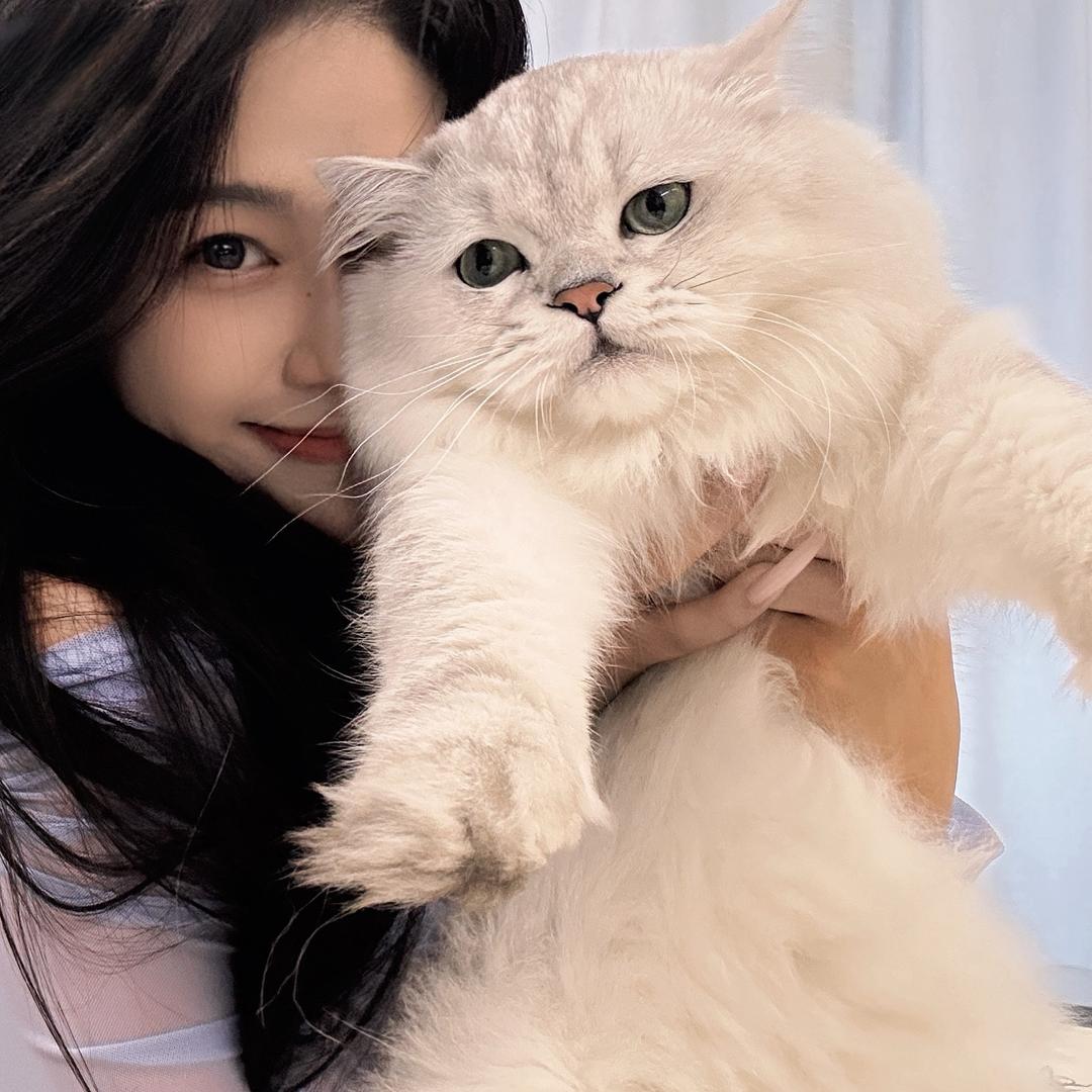 小怡a