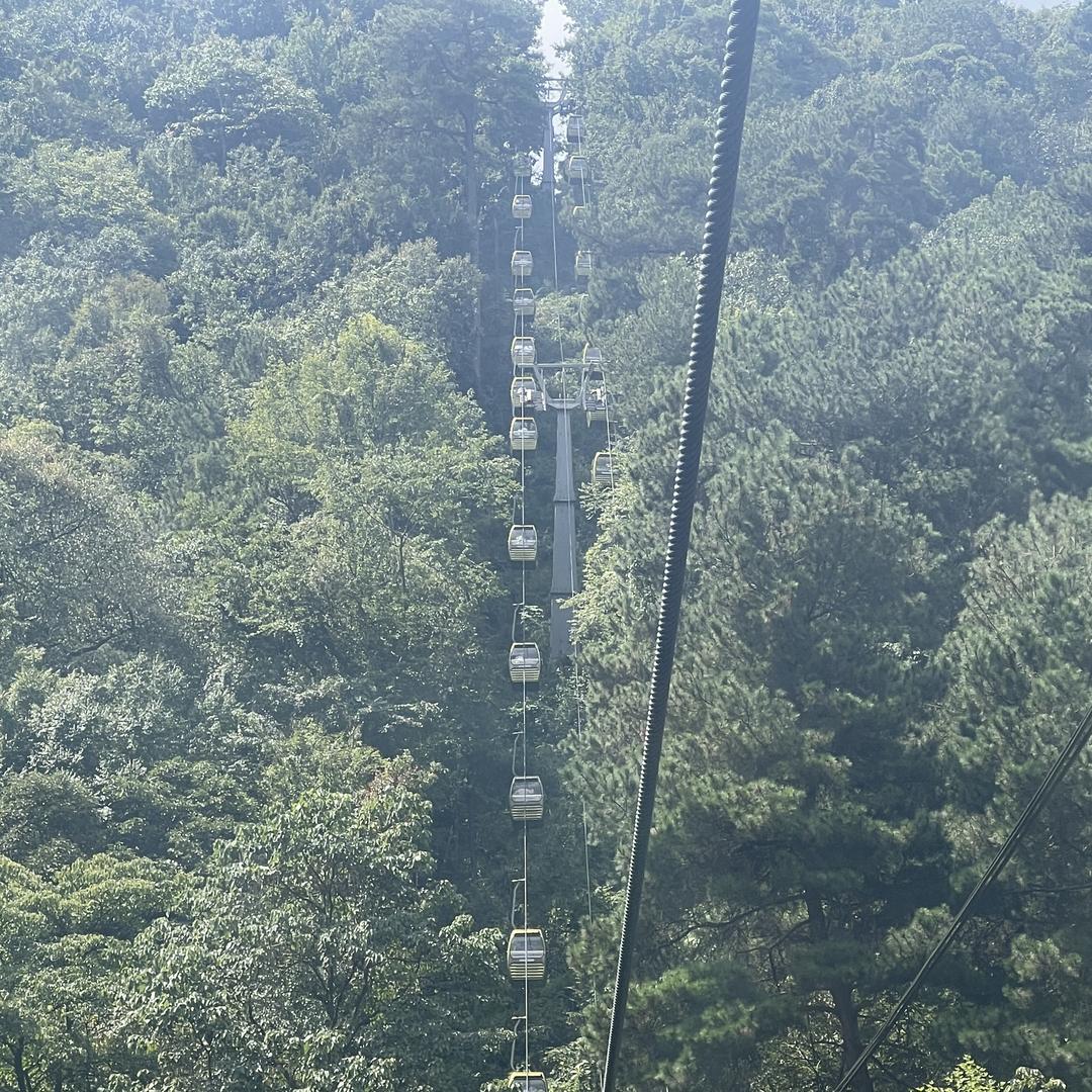 鑫诚生物滋补养生专营店和龙巧姐