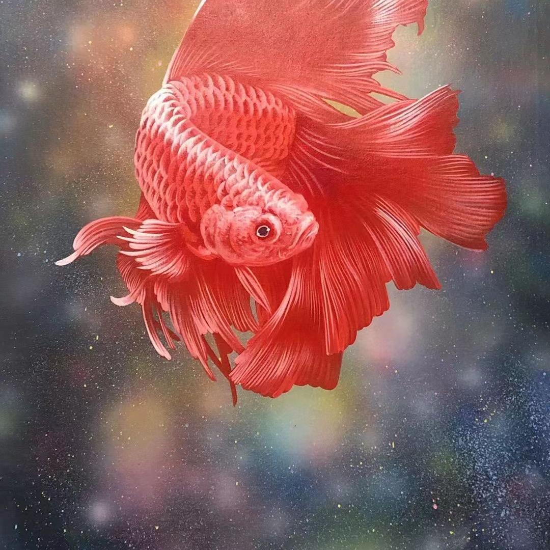 Spring邢