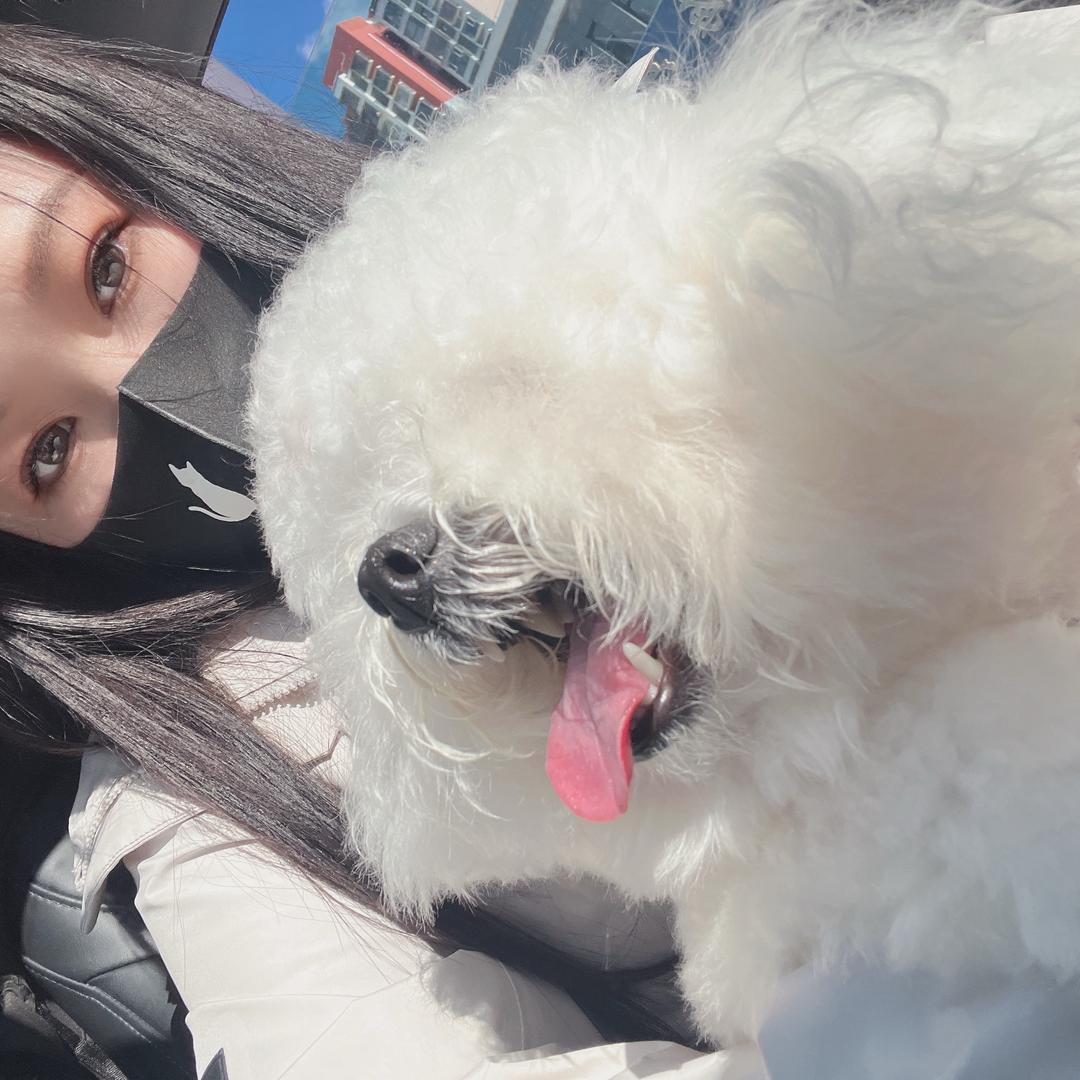 一昂羊（找我进群）